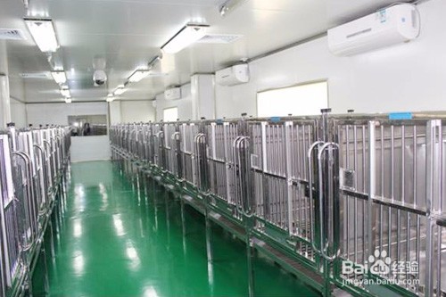 标准的动物实验室设计